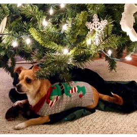 Petcare Dog Jumper Christmas Dog, Turtleneck Sweater, Christmas Pattern, Knitwear Warm Pet Jumper for Dog, Puppy Party, Puppy Gift for Dog