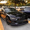 Fancemot Matte Black Front Bumper Lip Compatible with Ford Mustang
