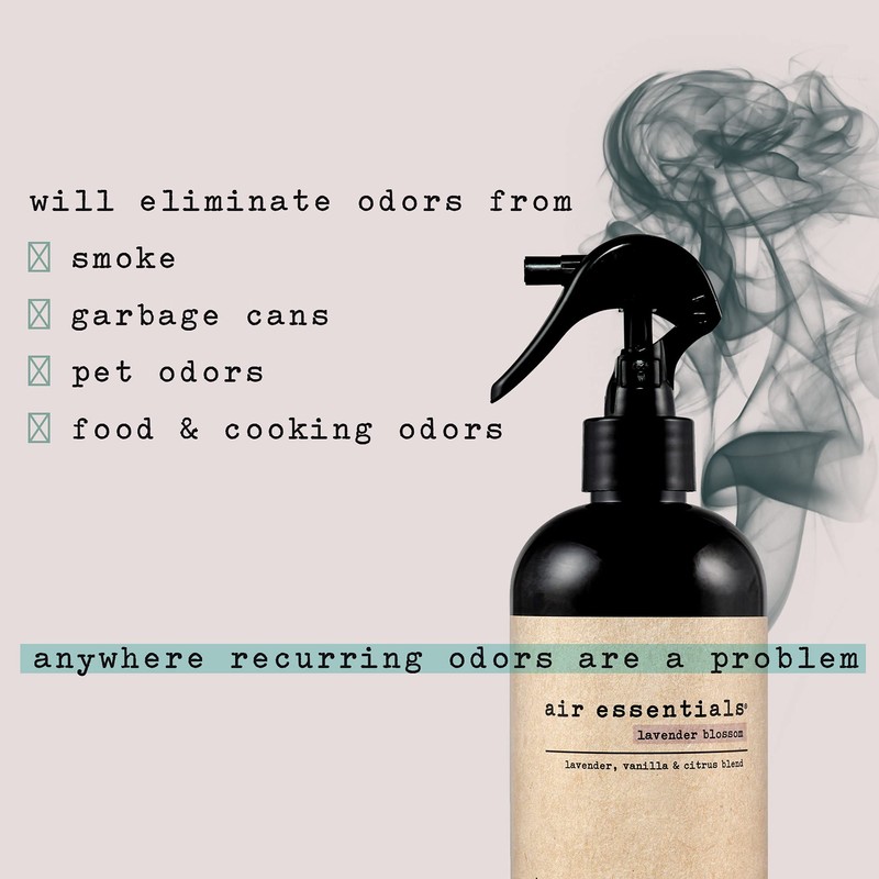 Air Essentials Air Freshener & Odor Eliminator Spray - 12