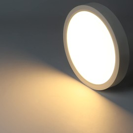 ZMH Ceiling Light LED Ceiling Light Bedroom Lamp Flat Bathroom Lamp Diameter 22 cm Kitchen Bathroom Ceiling Lighting 15 W Kitchen Lamp IP44 Hallway Lamp Round Bathroom Lamp Warm White for Bathroom