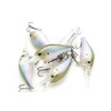 Lucky Craft USA (LUCKY CRAFT) LC 0.5DD Silent (238 Ghost