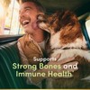 Nature's Bounty Vitamin D3 Vitamin Supplement, Supports Immune System and