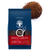 [Blue Mountain No.1 Shallow Roasted Coffee Beans] Homemade Roasting, 3.5