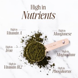 Sevenhills Wholefoods Organic Chlorella Powder 400g, Broken Cell Wall, High in Vitamin & Minerals