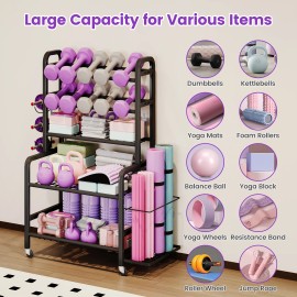 All-in-One Dumbbell Rack with Lockable Wheels,Mobile Fitness Equipment Organizer Stand with Hooks Space Saving Garage Gym Cartcolor: Black, Layer: 1 Layer