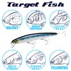 LUCKY CRAFT SW FlashMinnow 110, 765 MS Anchovy, Saltwater Fishing