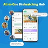 RichBird Smart Hummingbird Feeder with Camera Solar Powered, AI Identify,
