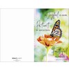 Romans 12:12 Butterfly Church Bulletins - Welcome The Congregation, Share