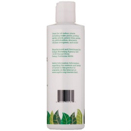 Indoor Plant Food: All-purpose ready-to-use fertilizer for houseplants. 8 liquid ounces. Great for your pothos, peace lily, spider plant, ferns, palms, ficus, african violets, cactus and more!