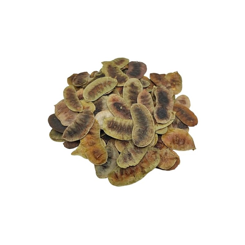 Dried Senna Pods Herbal Tea 85g to 1.95 KG Premium