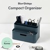 Blue Ginkgo Compact Desk Organizer – Small 5-Compartment, Half Drawer