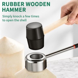 16PCS Coconut Opener Tool Set, Food Grade Stainless Steel Coconut Opener Kit with Rubber Mallet, Meat Removal, T-type Shell Knife, Scraper, Straw & Silicone Mat, Storage Bag, Safe & Easy to Open