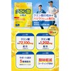 (Supervised by Doctor/Dietitian W Supervisor) Citric Acid Supplement, 72,100 mg/Bag,