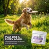 Hip and Joint Support Chews for Dogs - Glucosamine, MSM,