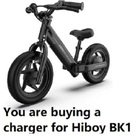 For Hiboy AC Adapter For Hiboy BK1 FN-A1 100W Electric Balance Bike Motorcycle DC Charger