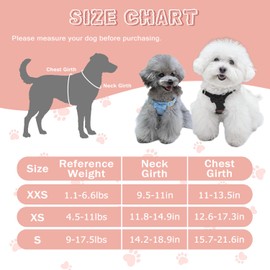 Guiding Star Puppy Harness and Leash Set, No Pull Lightweight Soft Adjustable Escape Proof Pet Harness Vest with Multifunction Dog Leash for Puppy Small Size Dog (Black-XS)