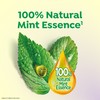 DARLIE Double Action Multicare Cool Mint Toothpaste 180gx2 (Value Pack)