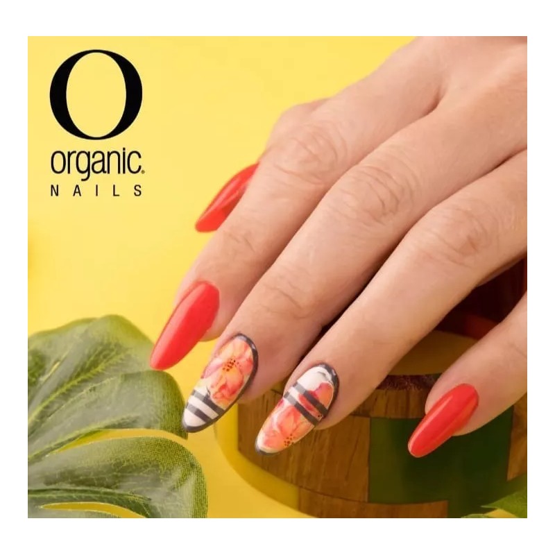 Organic Nails Alicata De Manicure Uñas #3 Acero Inoxidable Organic