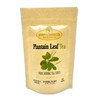 Palm Beach Medicinal Herbs - Plantain Leaf Tea - Pure