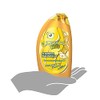 L'Oreal Paris, Shampoo Manzanilla L'Oréal Kids 260 Ml