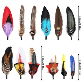 MehelloFeather Hat Feathers 12 PCS Natural Feathers Mixed Assorted Hats Feathers for Cowboy Hat Fedoras Trilby Hats Panama Hat DIY Costumes Decorations