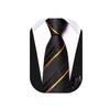 Dubulle Tie for Boys Self Tie Boys Necktie and Pocket