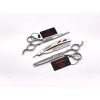 EVOLVING Kit Tijeras Silver 6 Pulgadas Barbero Estilista Evolving