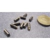Kmac 18-8 Stainless Steel Set Screws, Brass Tip, 8-32 x