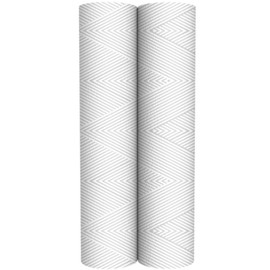 Pentair OMNIFilter RS12 Sediment Water Filter, 10-Inch, Standard Whole House String Wound Sediment Replacement Filter Cartridge, 10" x 2.5", 20 Micron, Pack of 2