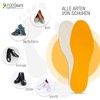 Shoe Insoles, Sweaty Feet, Anti-Sweat Insoles, 10 Pairs, Fresh Insoles