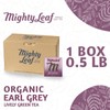 Mighty Leaf Organic Earl Grey Tea, 100 Tea Pouches
