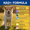 NAD Supplement for Dogs - NAD Soft Chews for Senior