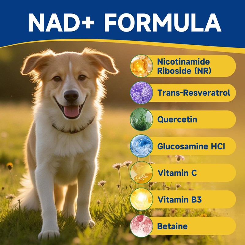 NAD Supplement for Dogs - NAD Soft Chews for Senior