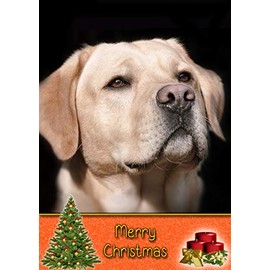 Golden Labrador Dog Christmas Card 'Merry Christmas' - Special Animal Xmas Card for Him Her from Pets Kids