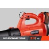 Blütezeit Cordless Leaf Blower Electric 4.0Ah Battery Power for Lawn