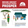 Mavuno Harvest Jackfruit Dried Fruit Snacks | Unsweetened Organic Dried