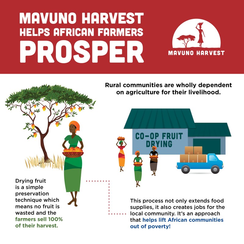 Mavuno Harvest Jackfruit Dried Fruit Snacks | Unsweetened Organic Dried