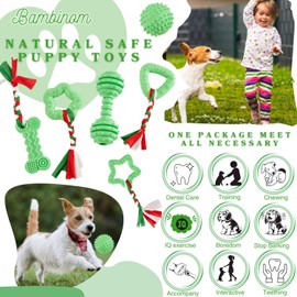Bambinom Puppy Chew Toys, 6 Pcs Teething for Small Breed, Soft Rubber Cute Green Dog Toys, Eco-Friendly, Teeth Cleaning, Interactive Tiny Toys for Small Dog,(Basket not Included)