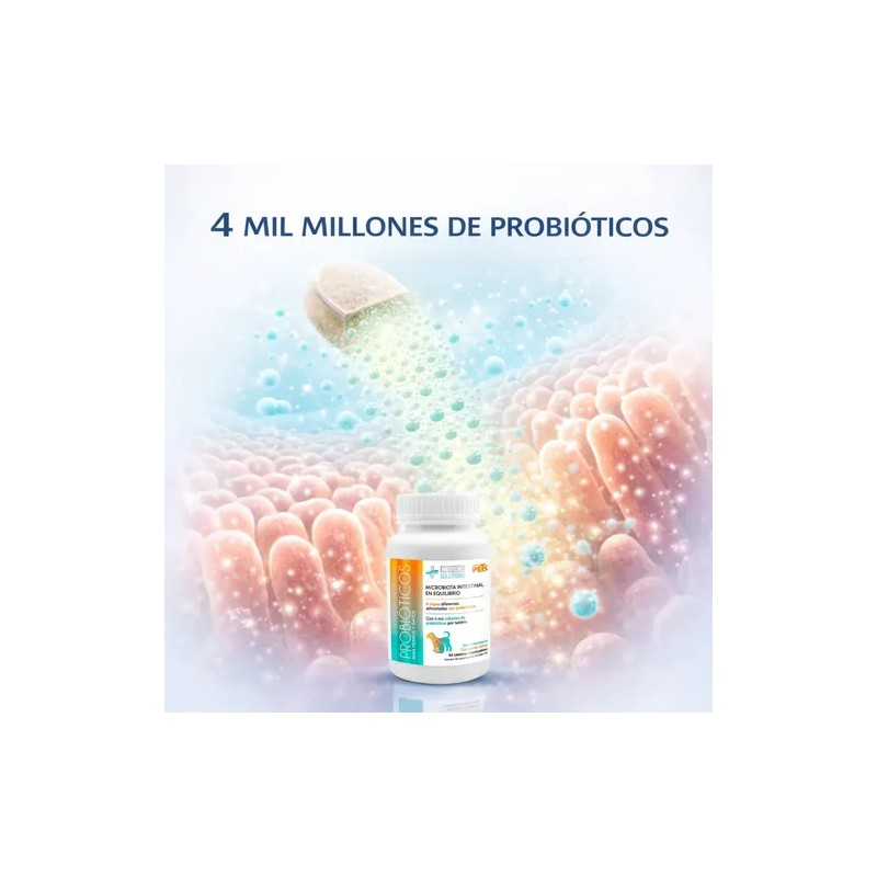 Probiótico Para Perro Probiotico En Tableta Masticable 60 Pz