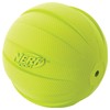 Nerf Dog Rubber Ball Dog Toy with Squeaker, Lightweight, Durable