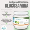 2 Colágeno Hidrolizado Premium Q10 & Glucosamina + Regalo