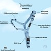 ShawnCo Dream Walk No-Pull Dog Harness- Adjustable, Comfortable, Easy to