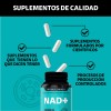 Nad+ | Nr Nicotinamida Ribosa - Suplemento Alimenticio Premium Potenciado