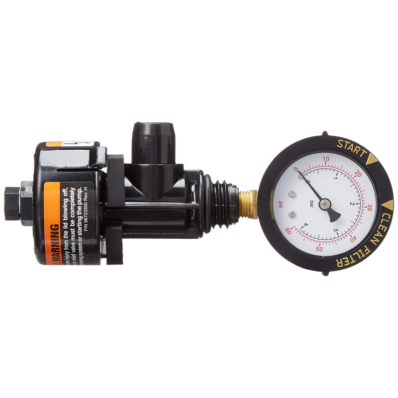 Pentair 98209800 Air Relief Manual Valve Assembly