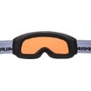 Alpina Nakiska Q Ski Goggles, Matte Black, One Size