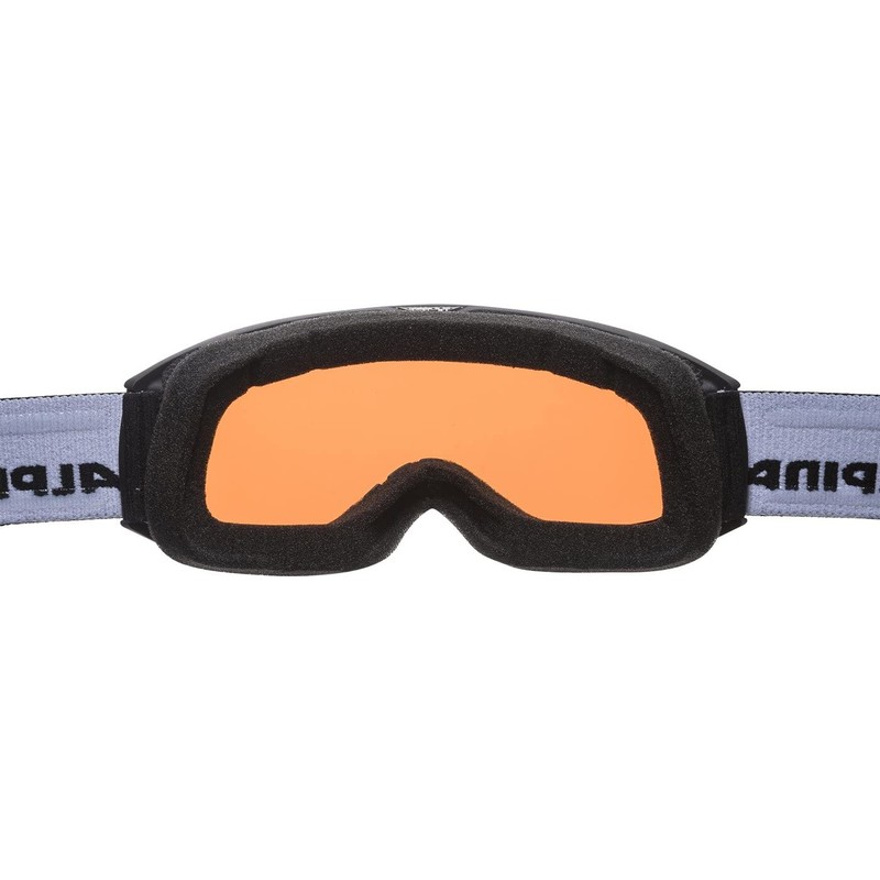 Alpina Nakiska Q Ski Goggles, Matte Black, One Size