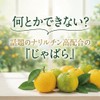 Concentrated Chabara Fruit Skin Powder Juice Plus Lactic Acid Bacteria