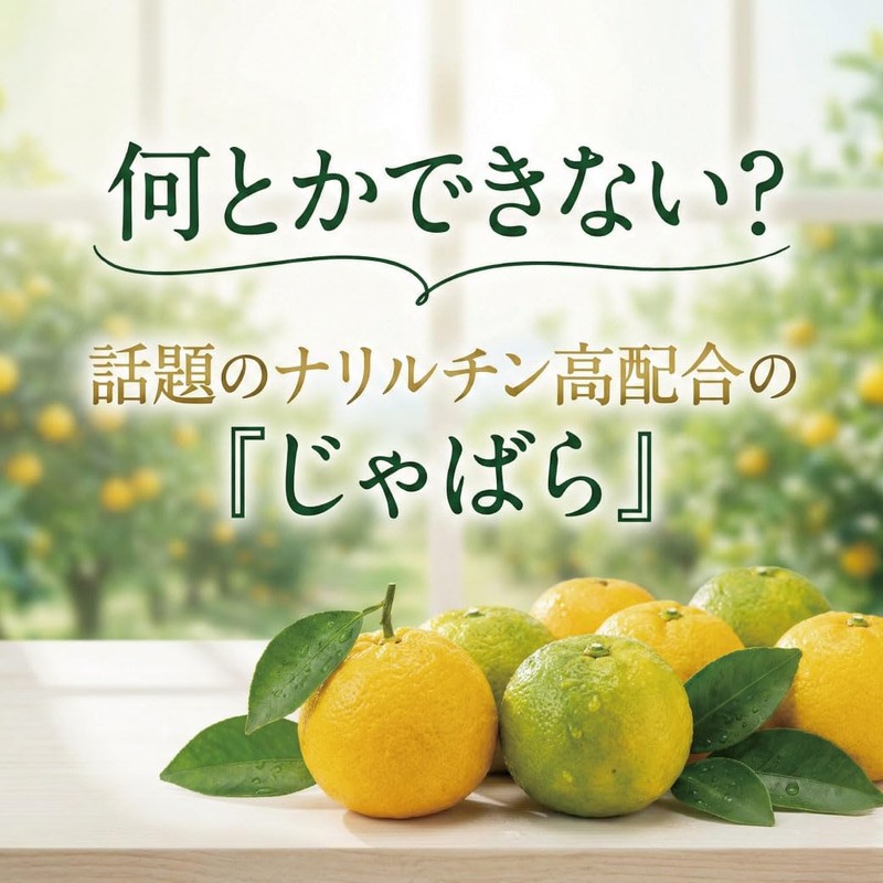 Concentrated Chabara Fruit Skin Powder Juice Plus Lactic Acid Bacteria