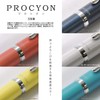 Platinum Fountain Pen PROCYON Deep Sea PNS-5000 Nib: Fine
