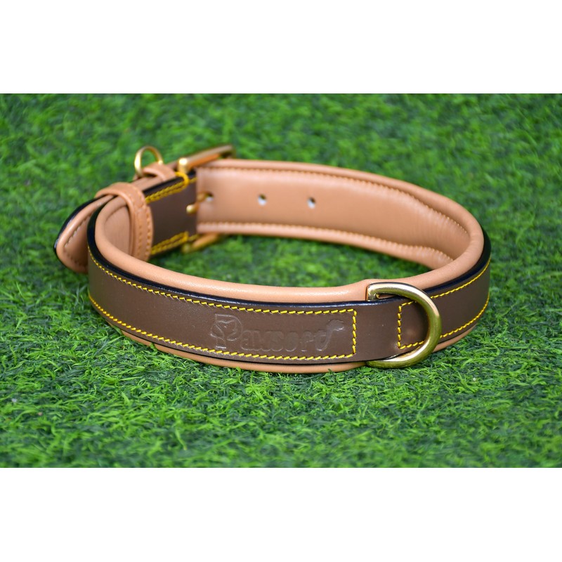 PAWSOFT Genuine Leather Western Dog Collar Dog Neck Belt Heavy